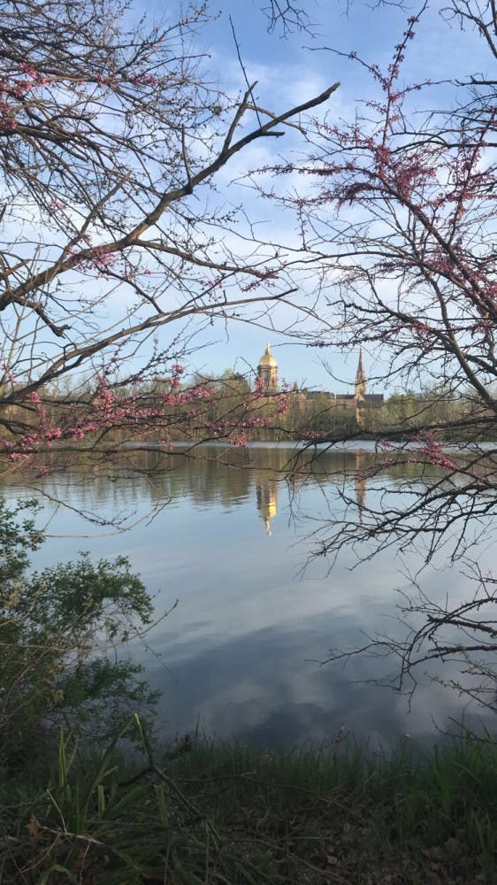 1588613112-d1f12d7ecc2ab9e