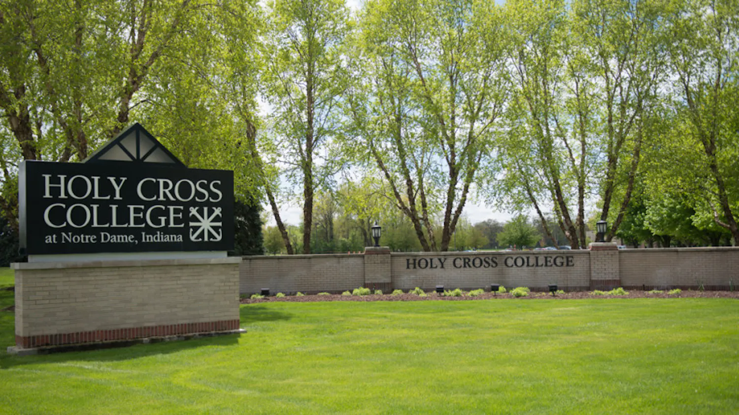 1583961955-a17ca5fbcafaafa