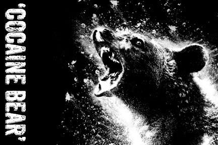 1677617806-fa4261e439c1b5b