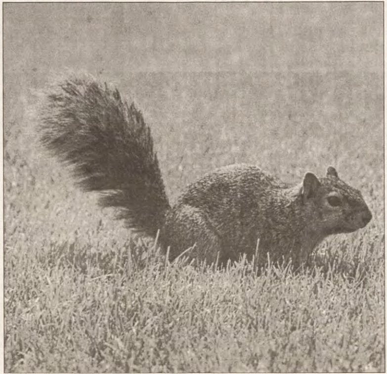 1650311845-6ba31e8314620dc