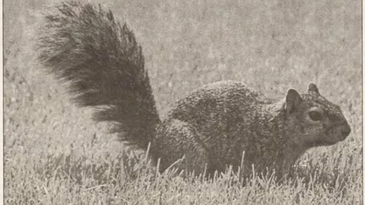 1650311845-6ba31e8314620dc