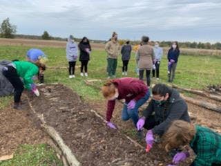 1604250981-78805a221a988e7