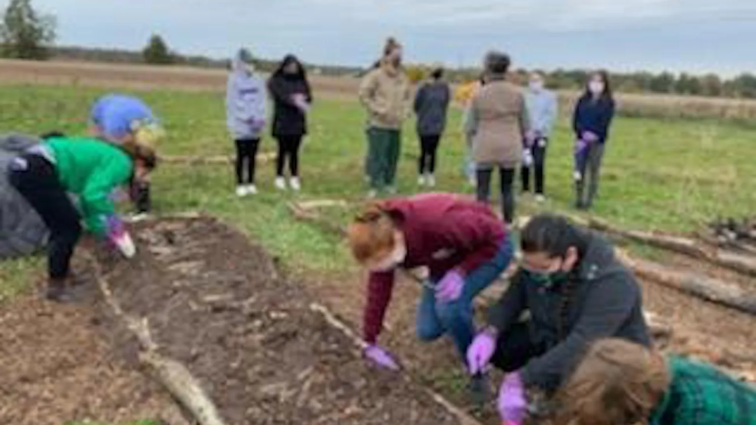 1604250981-78805a221a988e7