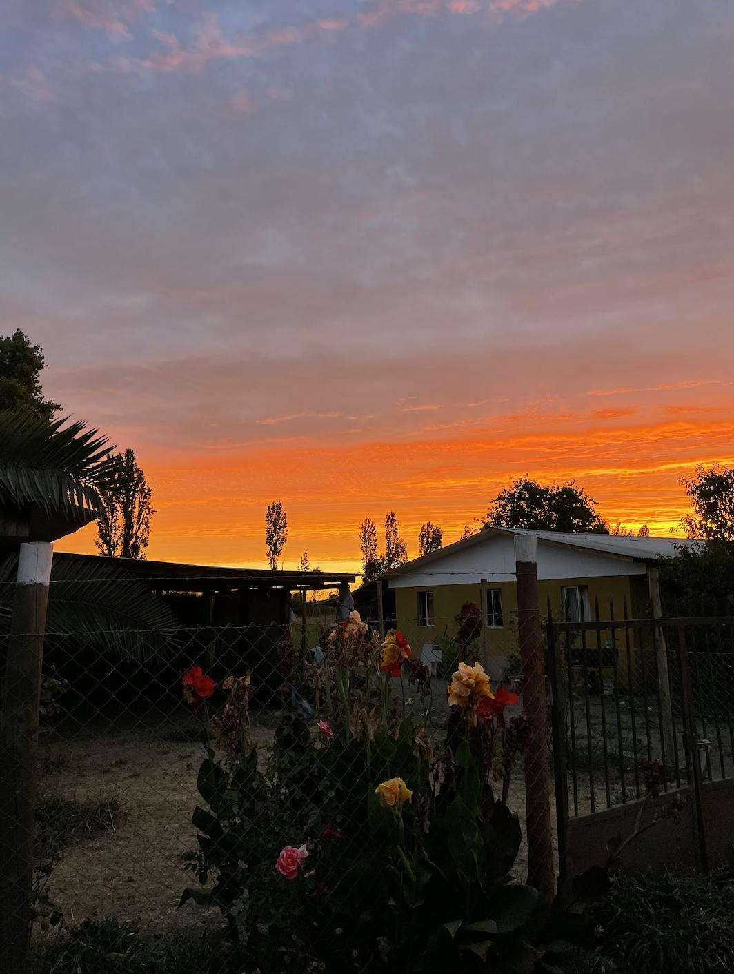 Screenshot 2024-03-20 at 9.34.23 PM.png