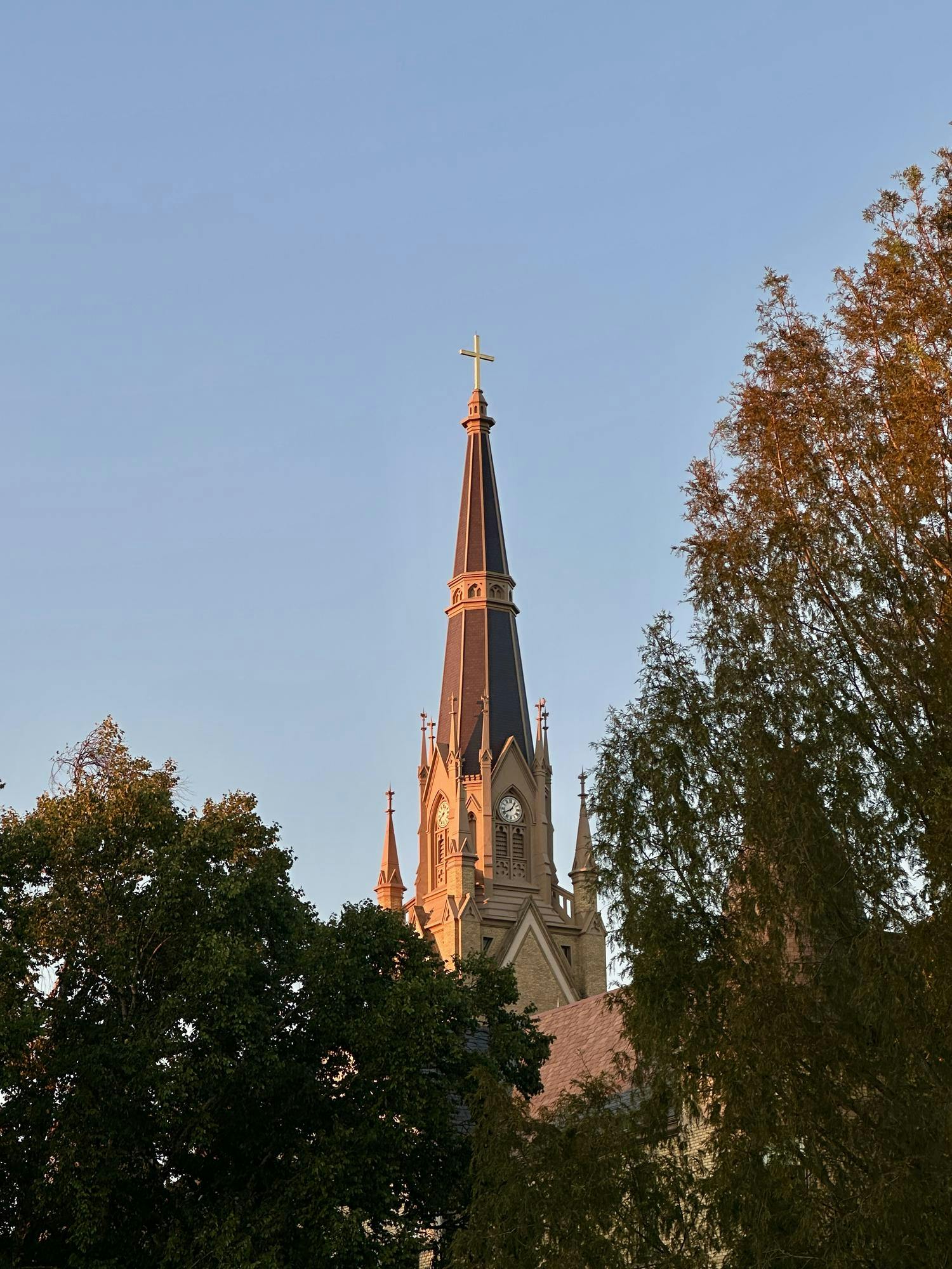 Basilica of the Sacred Heart