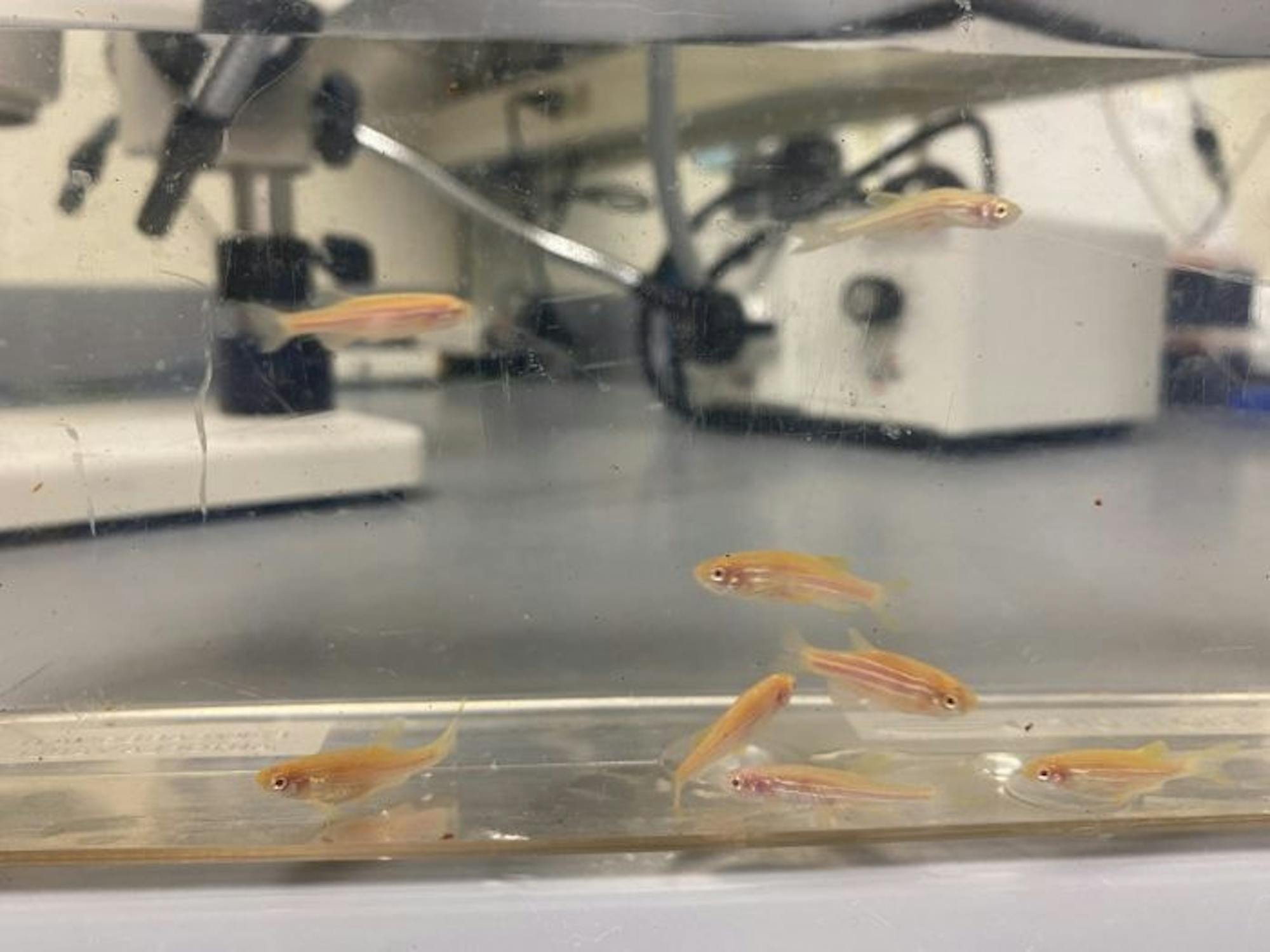 1602450612-129eb35306cc696-700x525