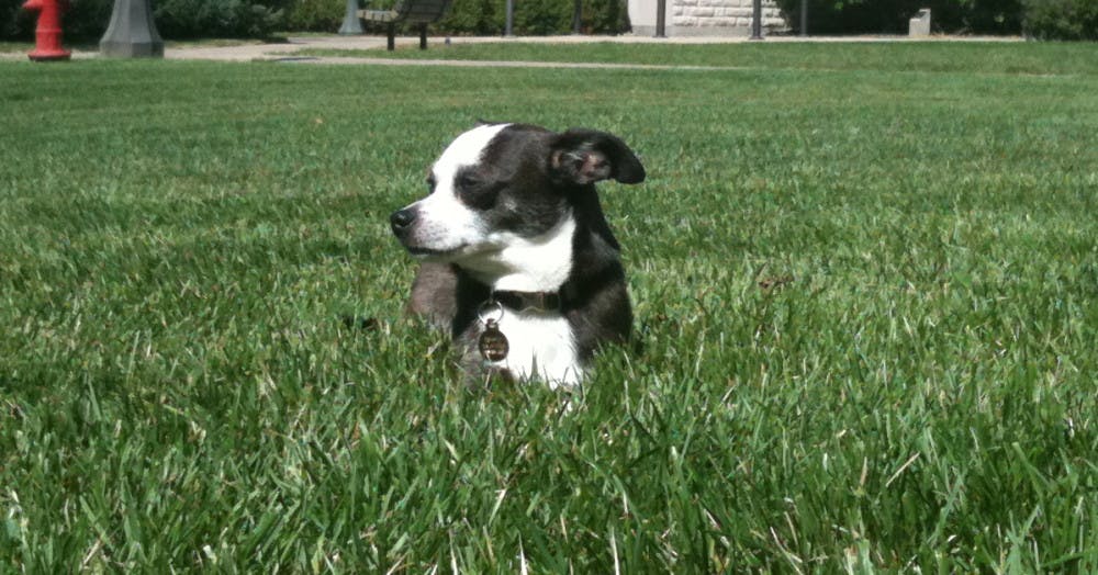 1572566645-ba2ae1c46cdcb0d