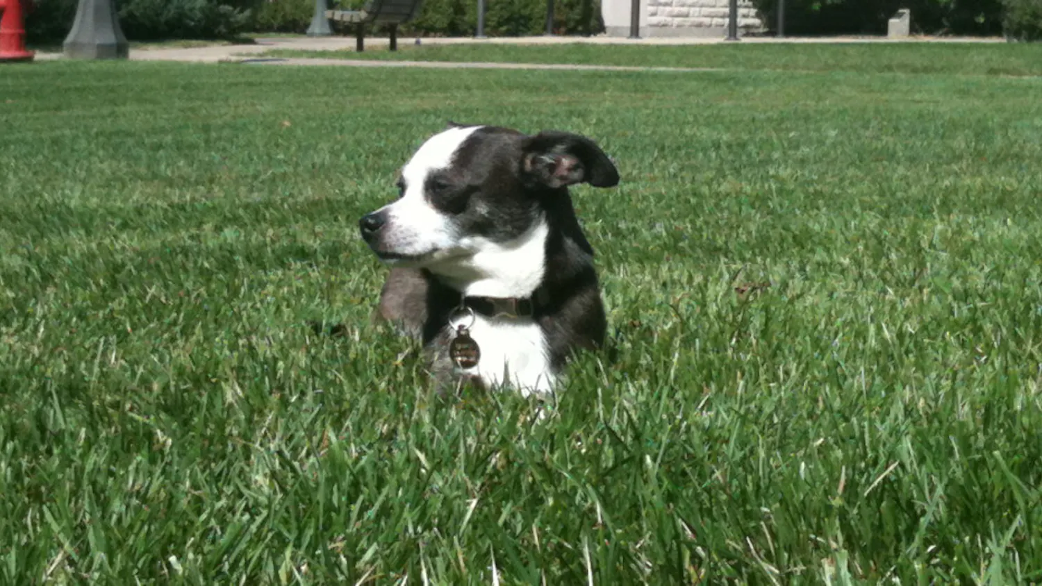 1572566645-ba2ae1c46cdcb0d