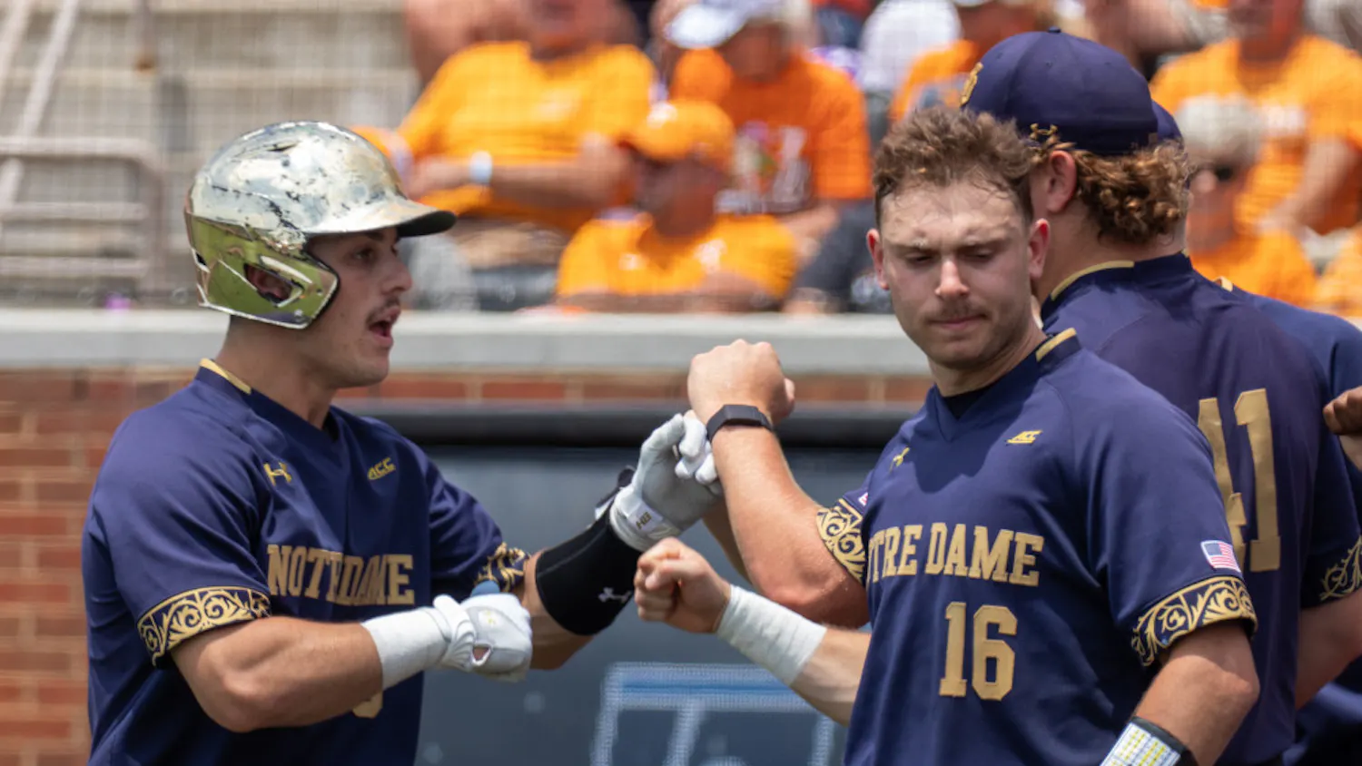 1655058764-1d692bf00e05ce1