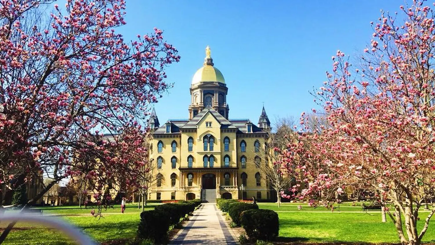 1583939141-7a7ad39ea509b04