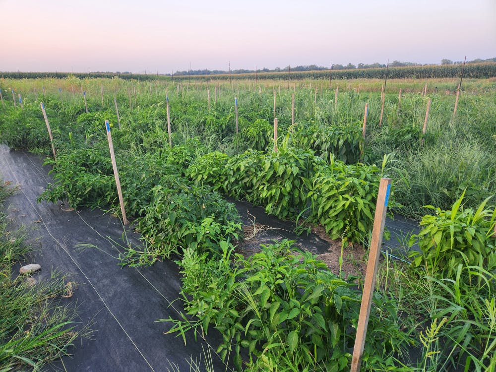 1692905453-b42affb83af3a20