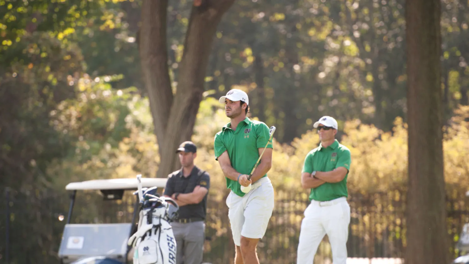 1582150368-d960890edd6227a