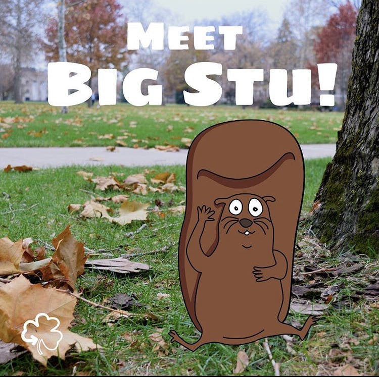 1579831213-dfb02503b7e0721