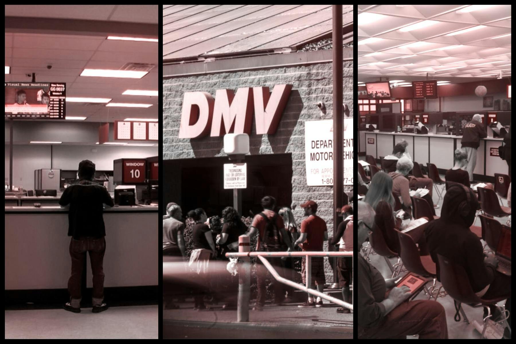 DMV Color Graphic
