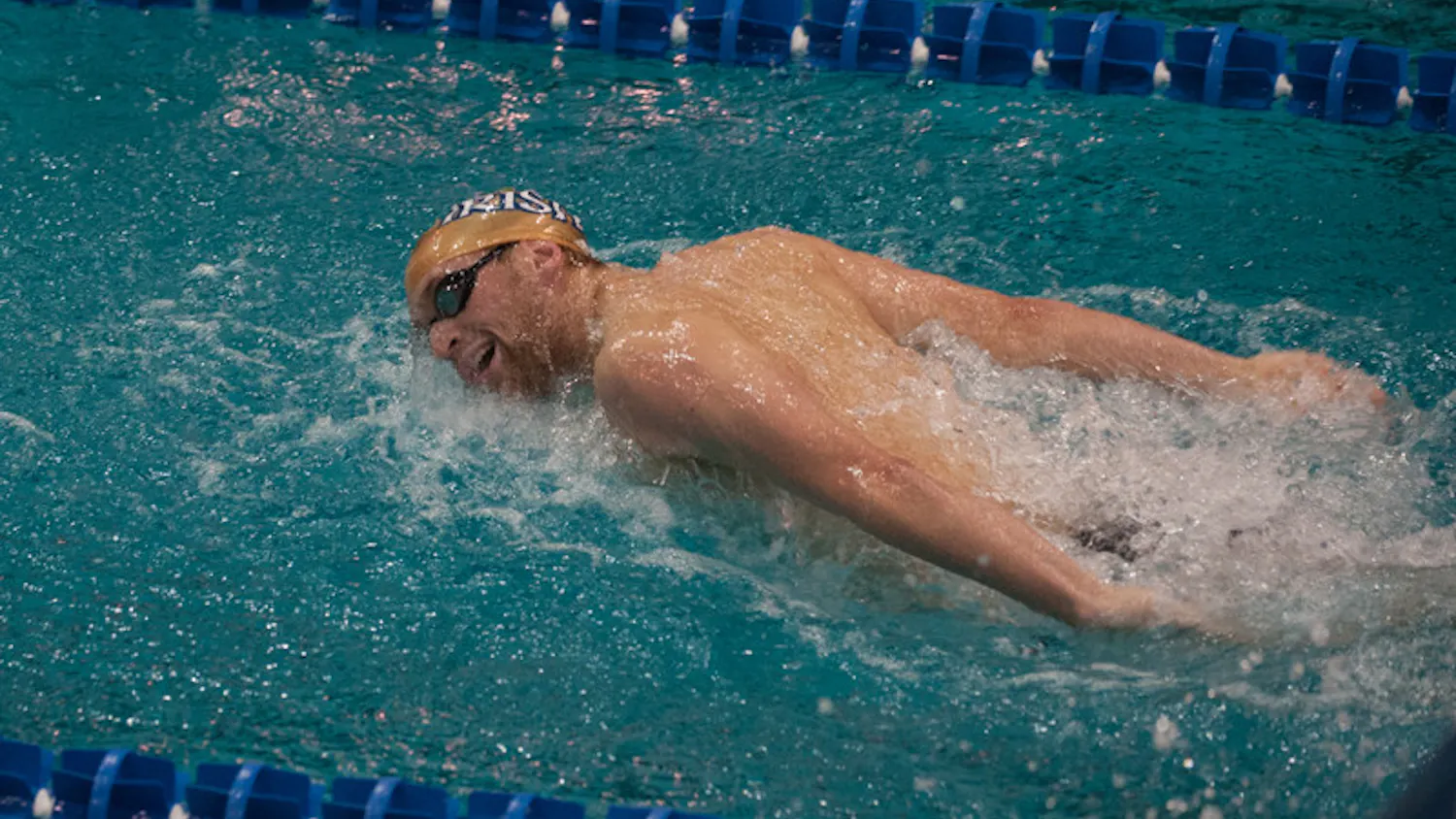 Brennan-Jacobsen-20131116-20131115-Mens-Swimming-Swimming-Wei-Lin-Womens-Swimming