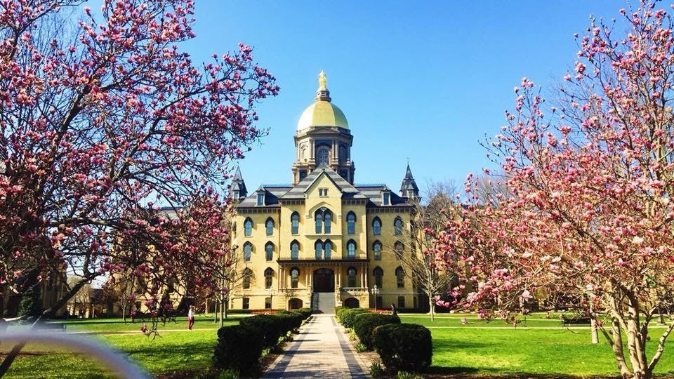 1583939141-7a7ad39ea509b04