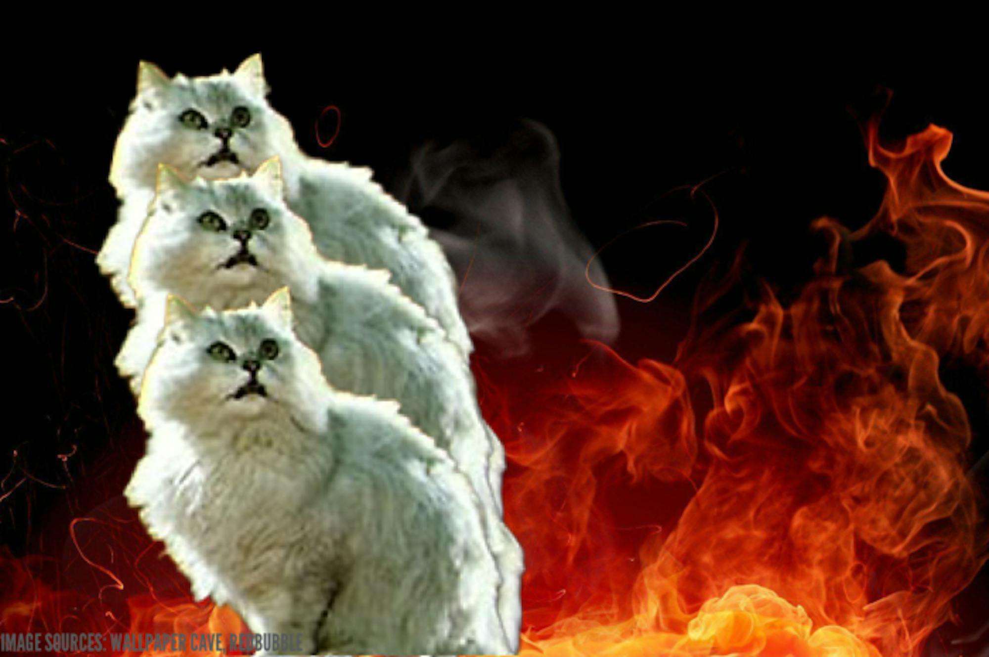 1635798800-1155a5ee1f2a415-700x465