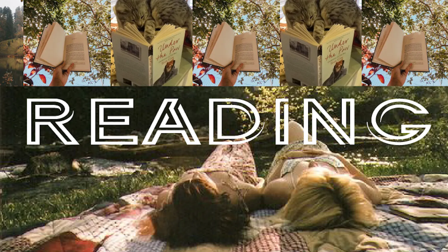 1636577450-2806dce6ac67c4d