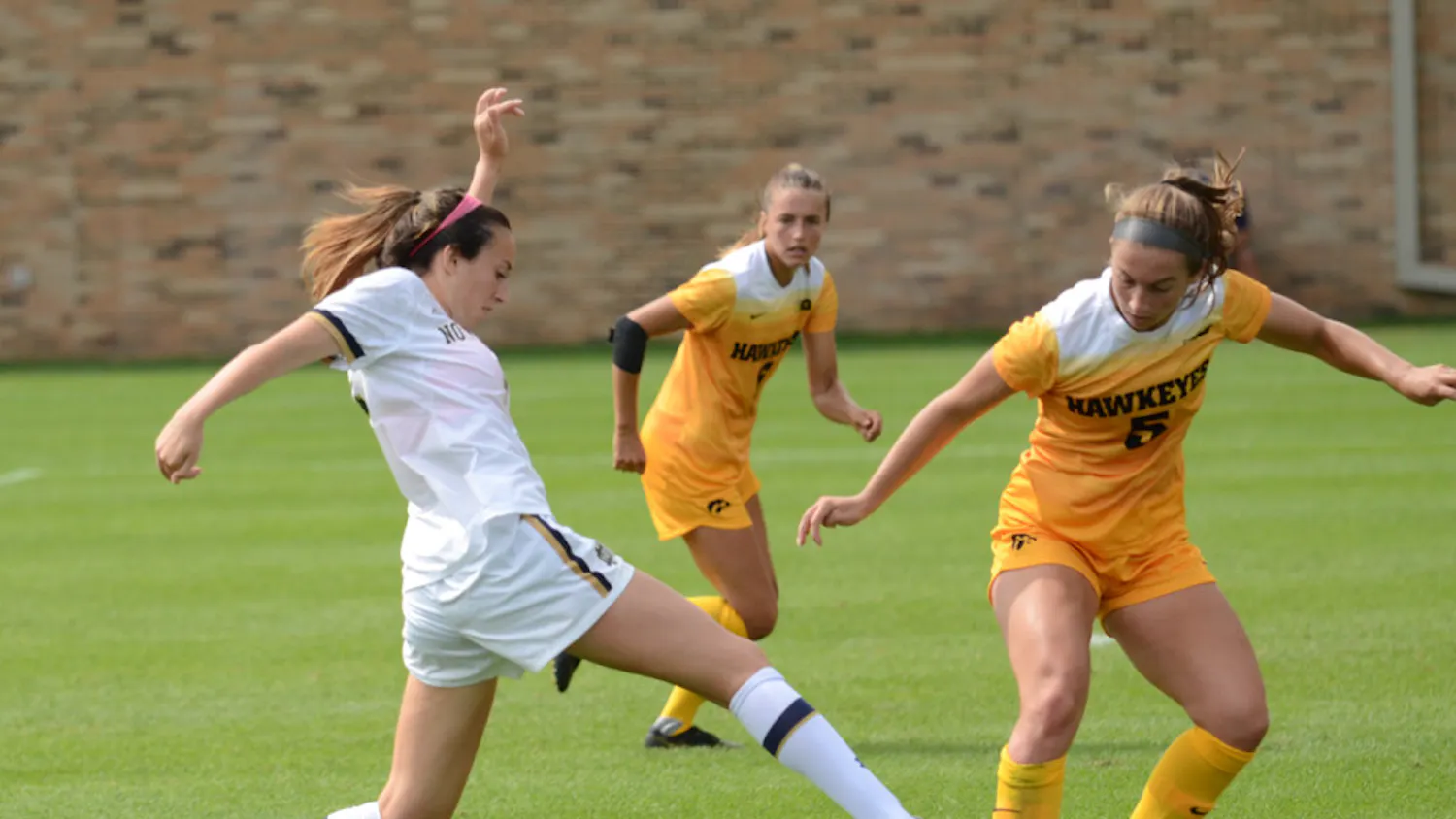 1572497296-5fd4d08cbd1b0b0