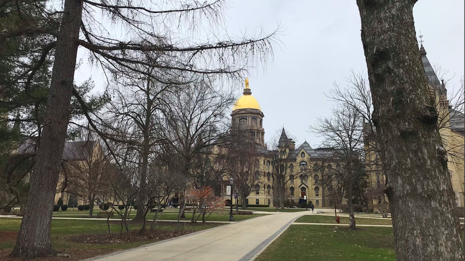 1585664981-bbcbabfd388f949