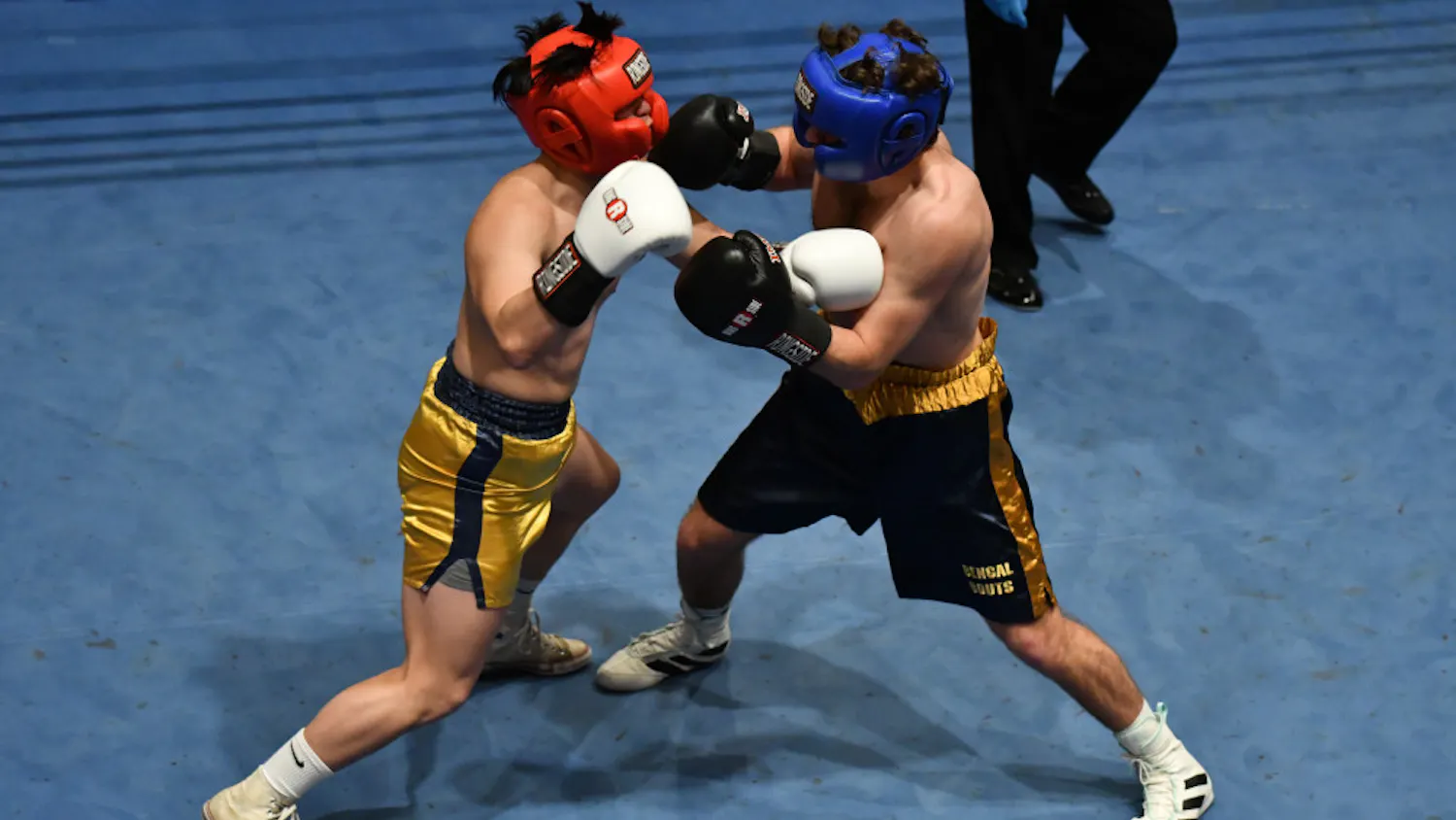 1676944682-9948f1305b6e6a1