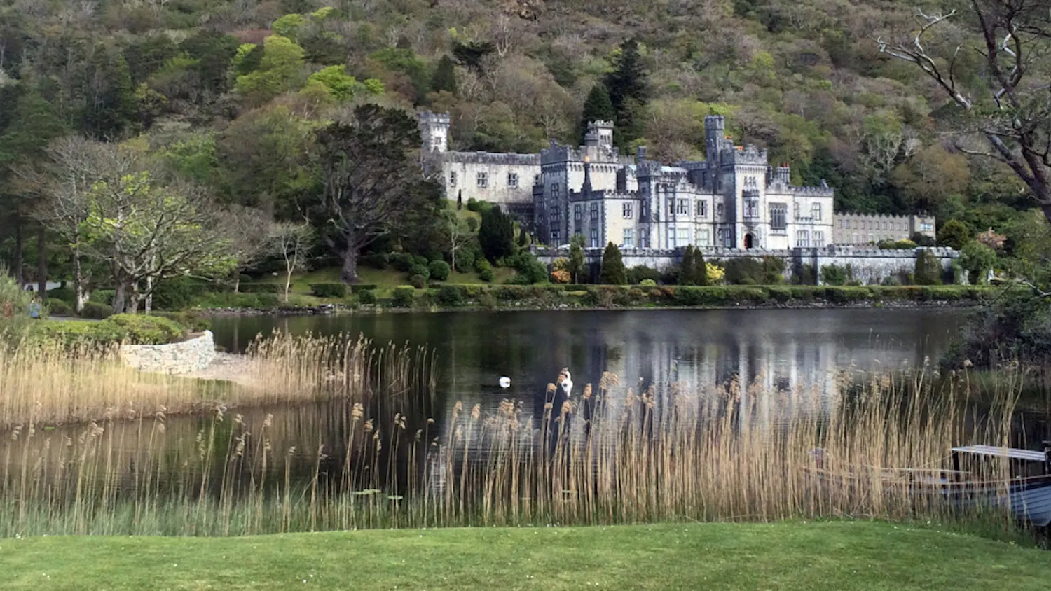 1454634062-5e4ff2753495b57