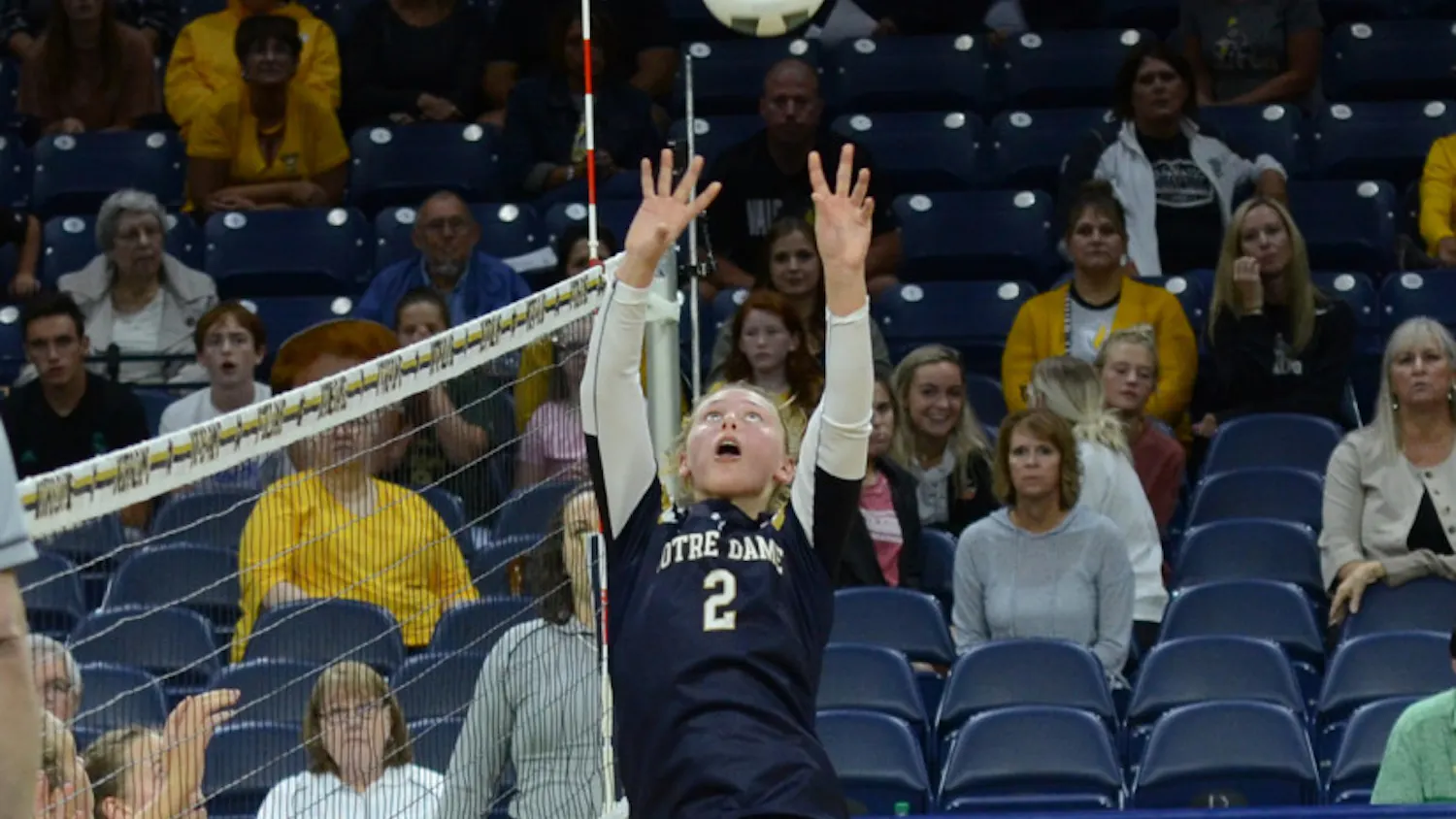 1570156825-33cef1c8d9a8662