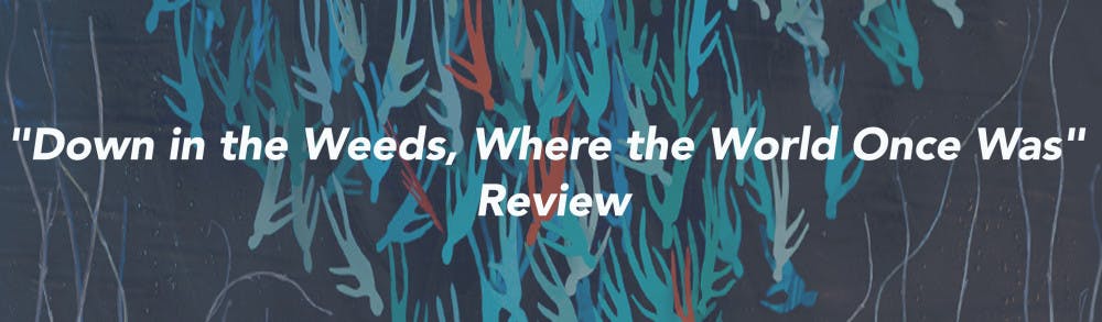 1598566668-fc9cfa1007f877d