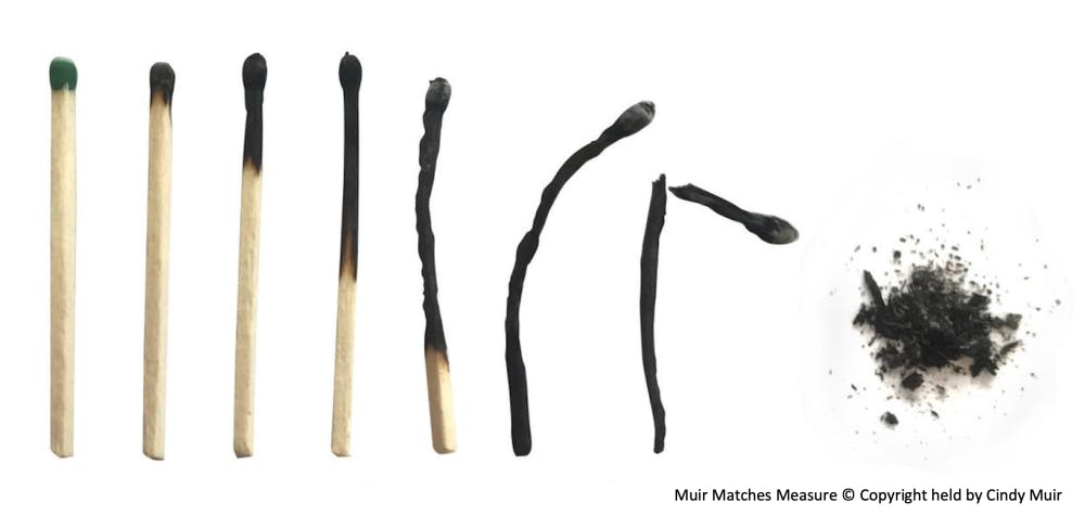 1679407374-e11b03446463780