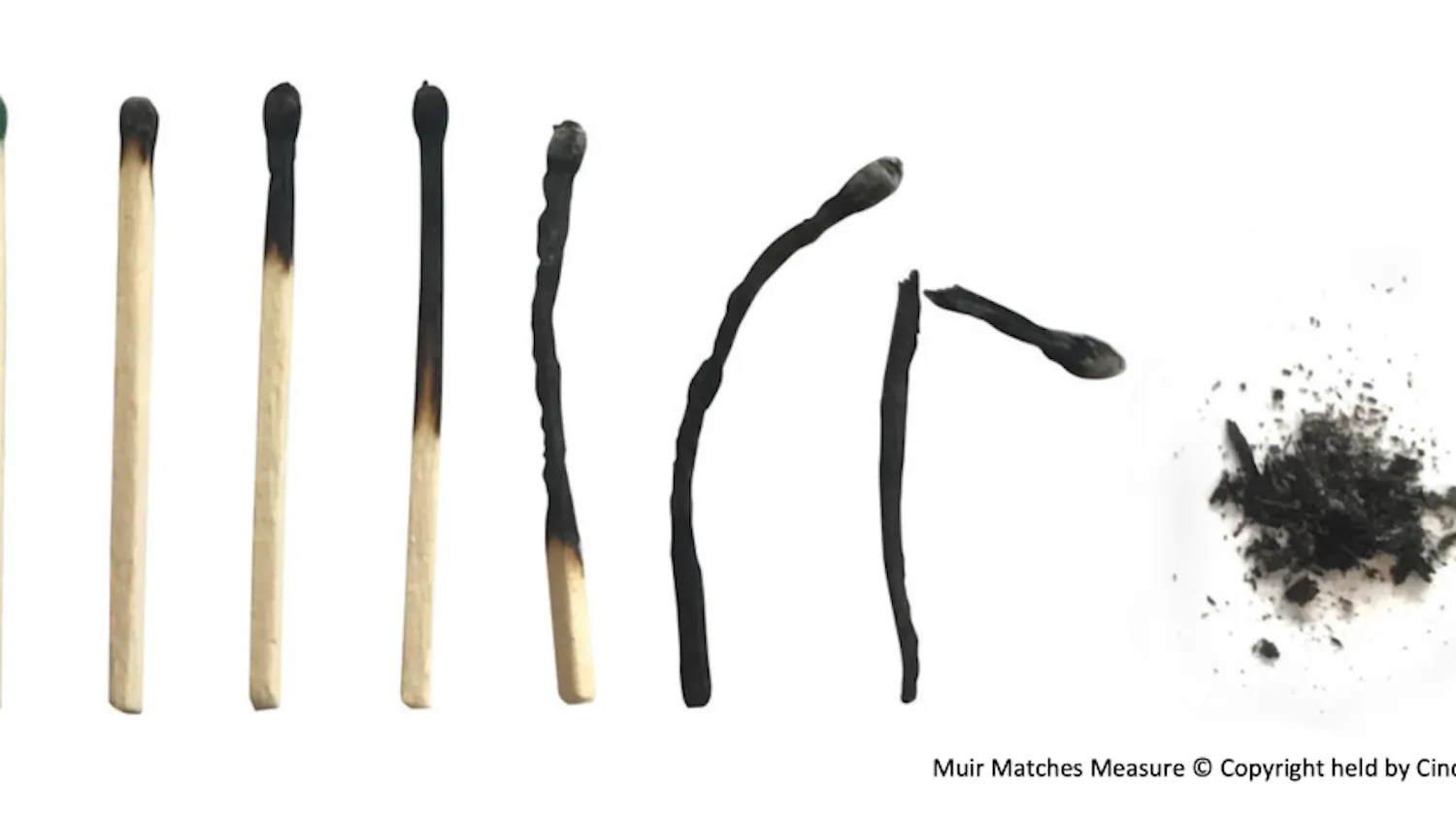 1679407374-e11b03446463780