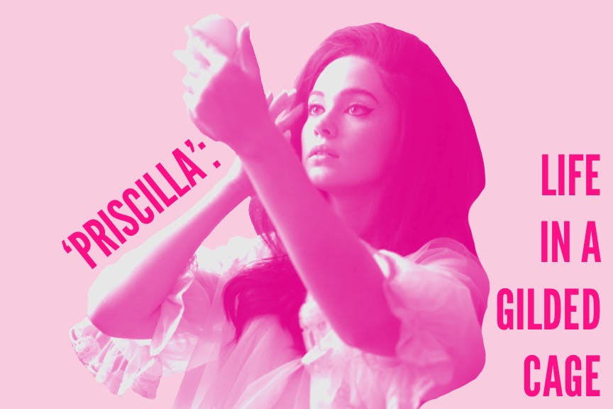 1699565881-6ed854bd77038d1