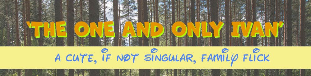 1598822532-3228e7012dd424b