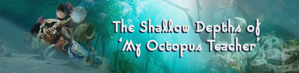 1618430949-313a9b8c9df67c1