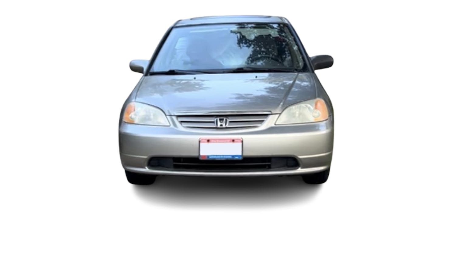 Screen Shot 2024-10-08 at 8.37.52 PM.png