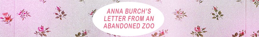 1518038821-b2371c42f9d7193