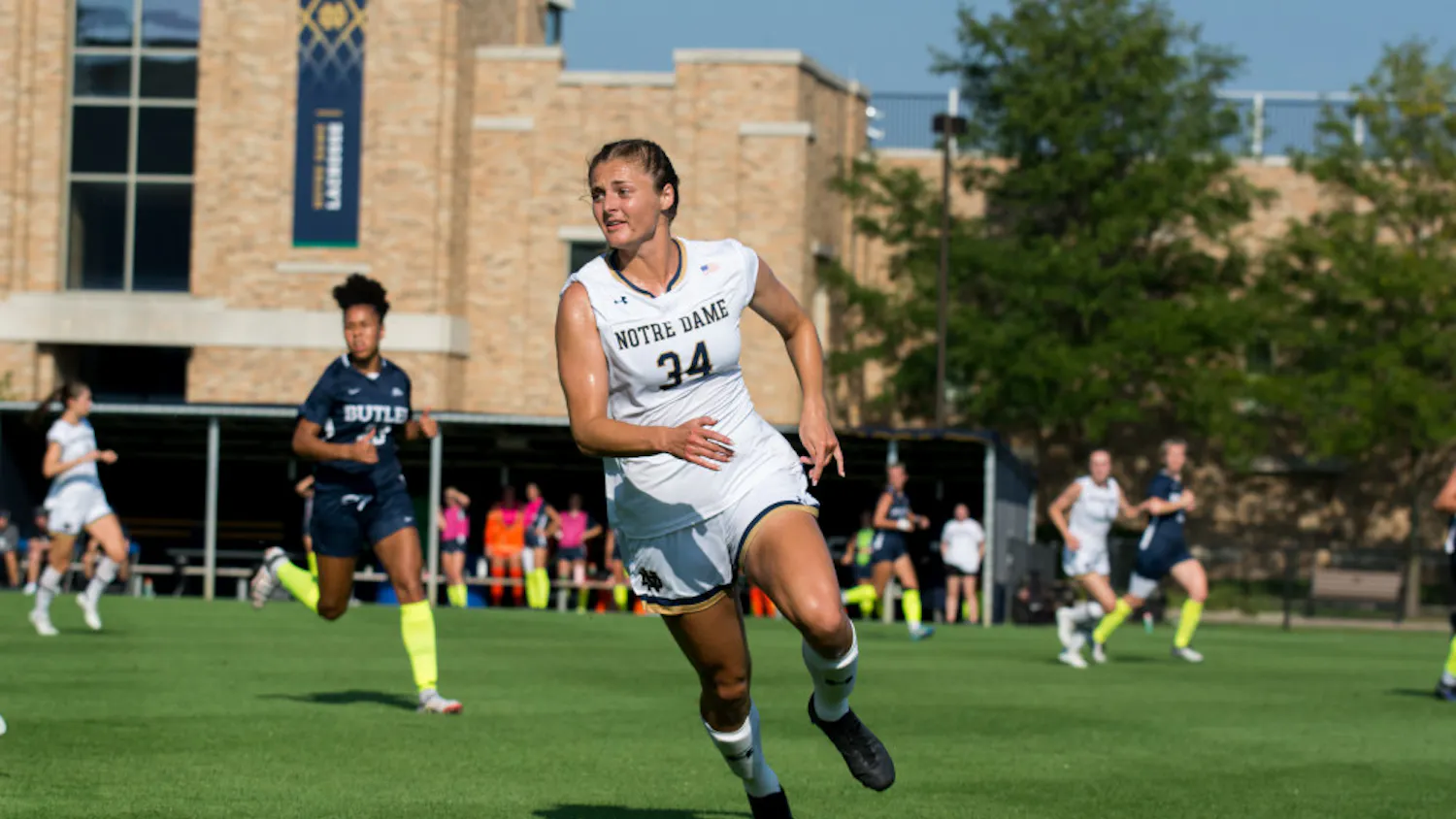 1694384538-556630d603b75b7