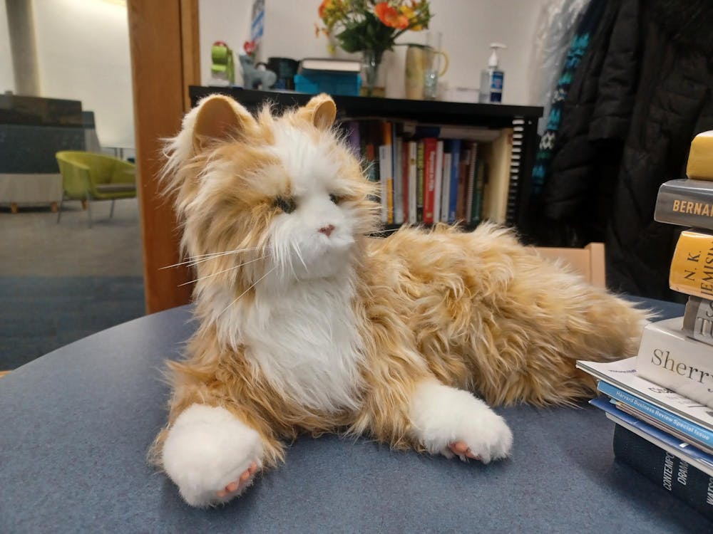 Robotic Cat Part of Ongoing Library Grant.jpg