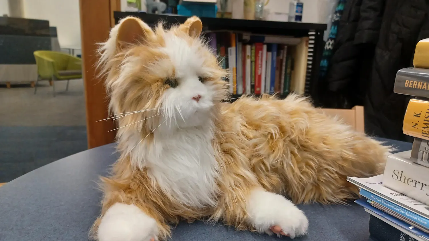 Robotic Cat Part of Ongoing Library Grant.jpg