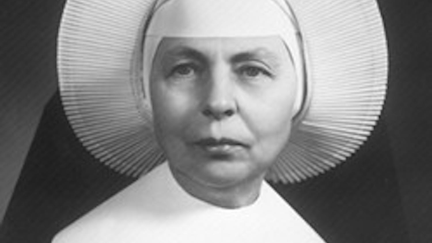 1693239878-b5e20ea92a4b9d2