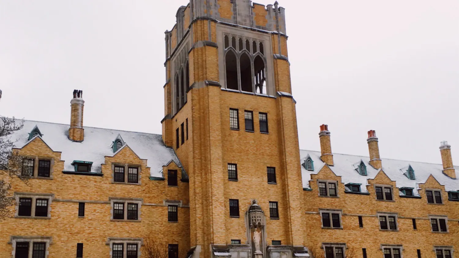 1615501103-9aee5f784a2f76c