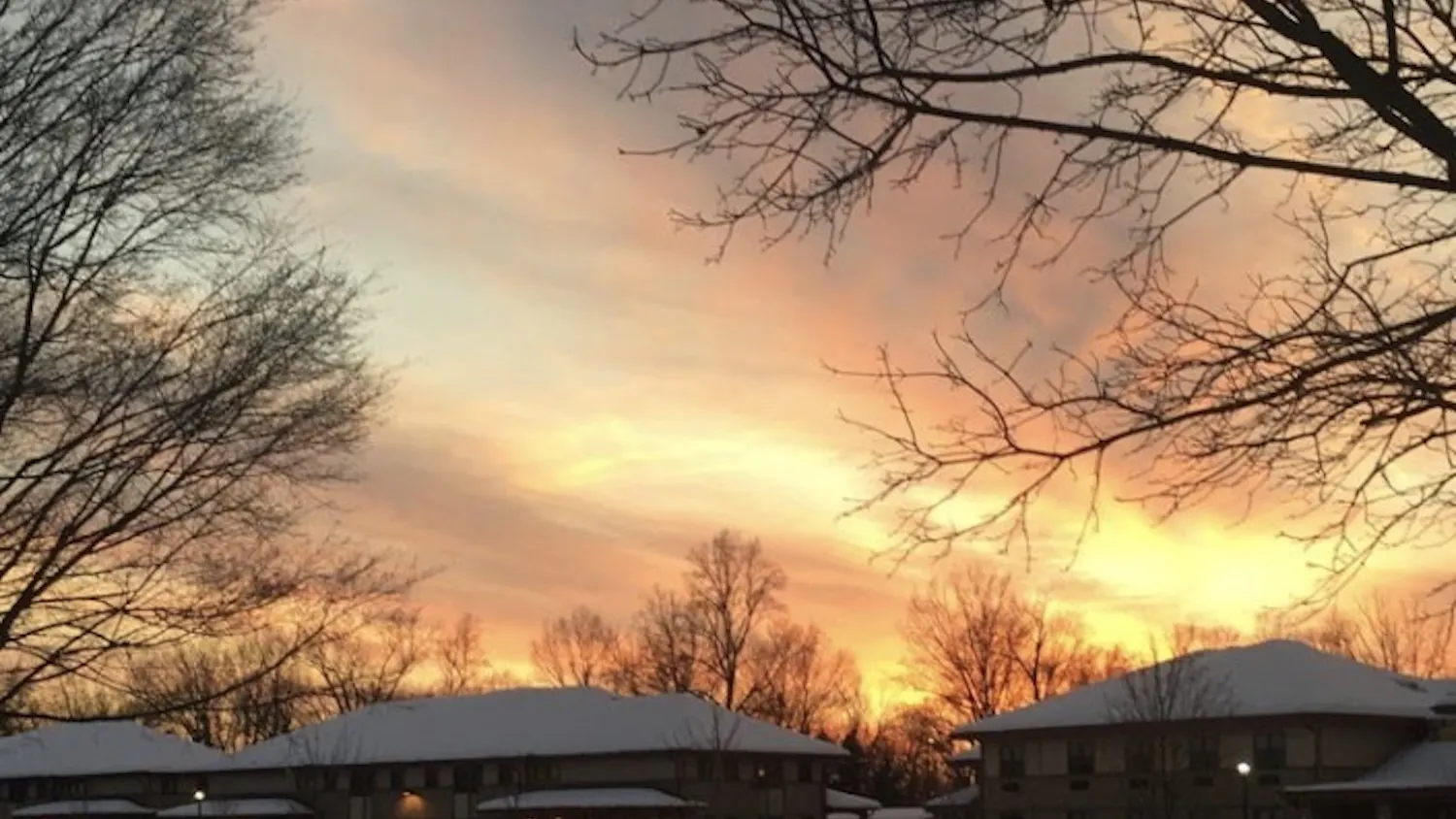 1584377413-c521d0bb270b6a9