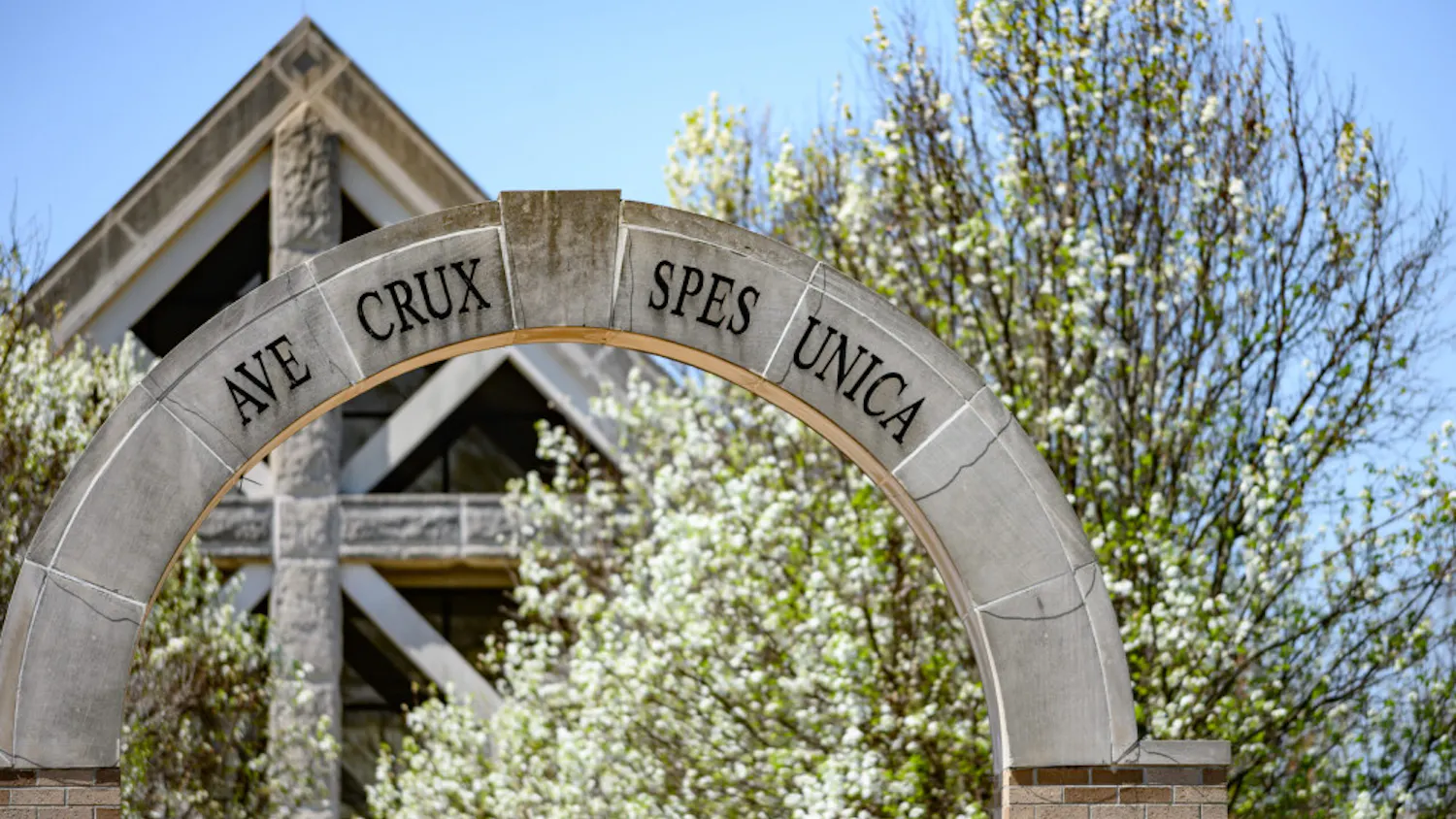 1679405381-3774867b118ef55