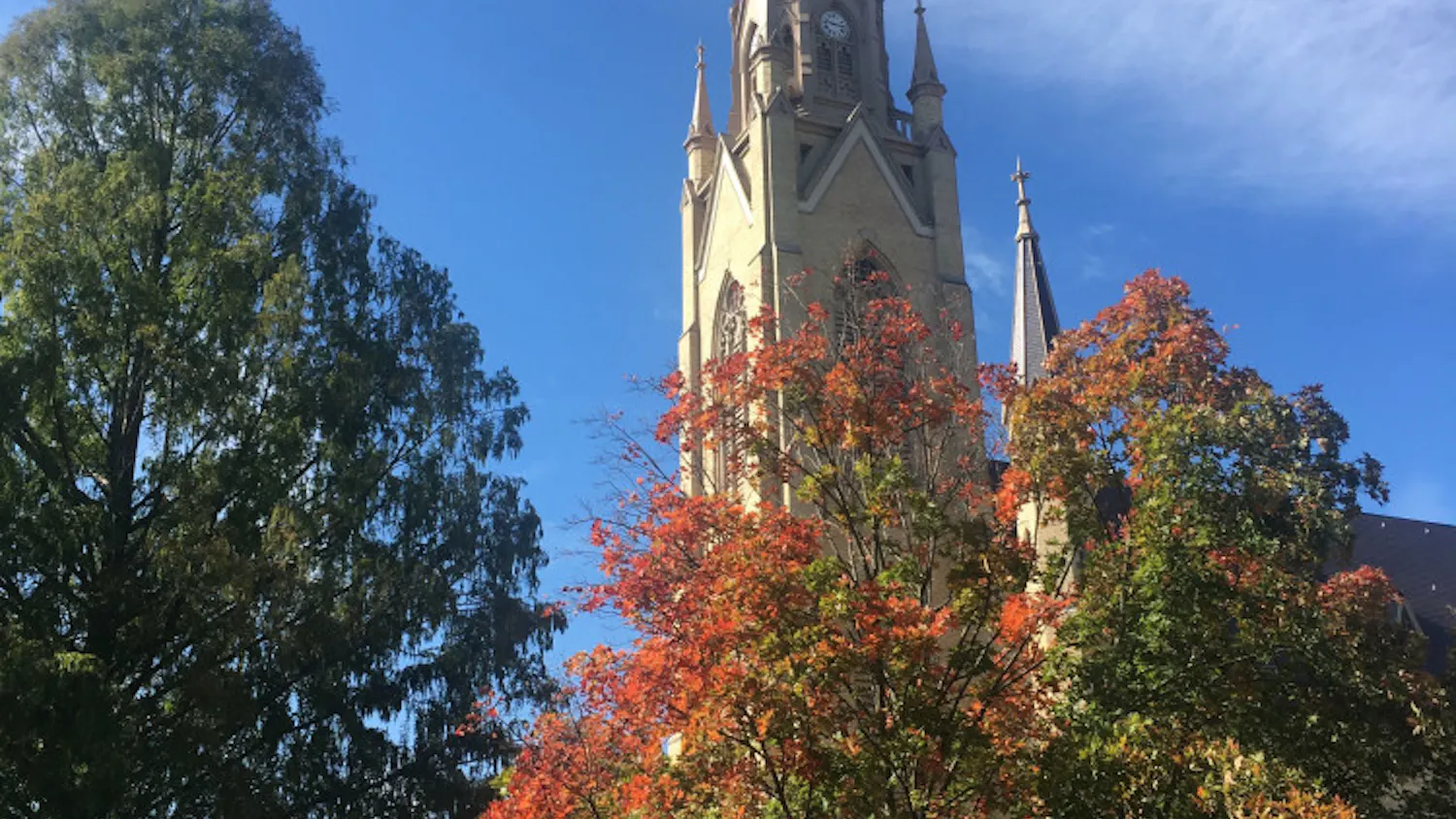 1585162588-cee0348e325789c