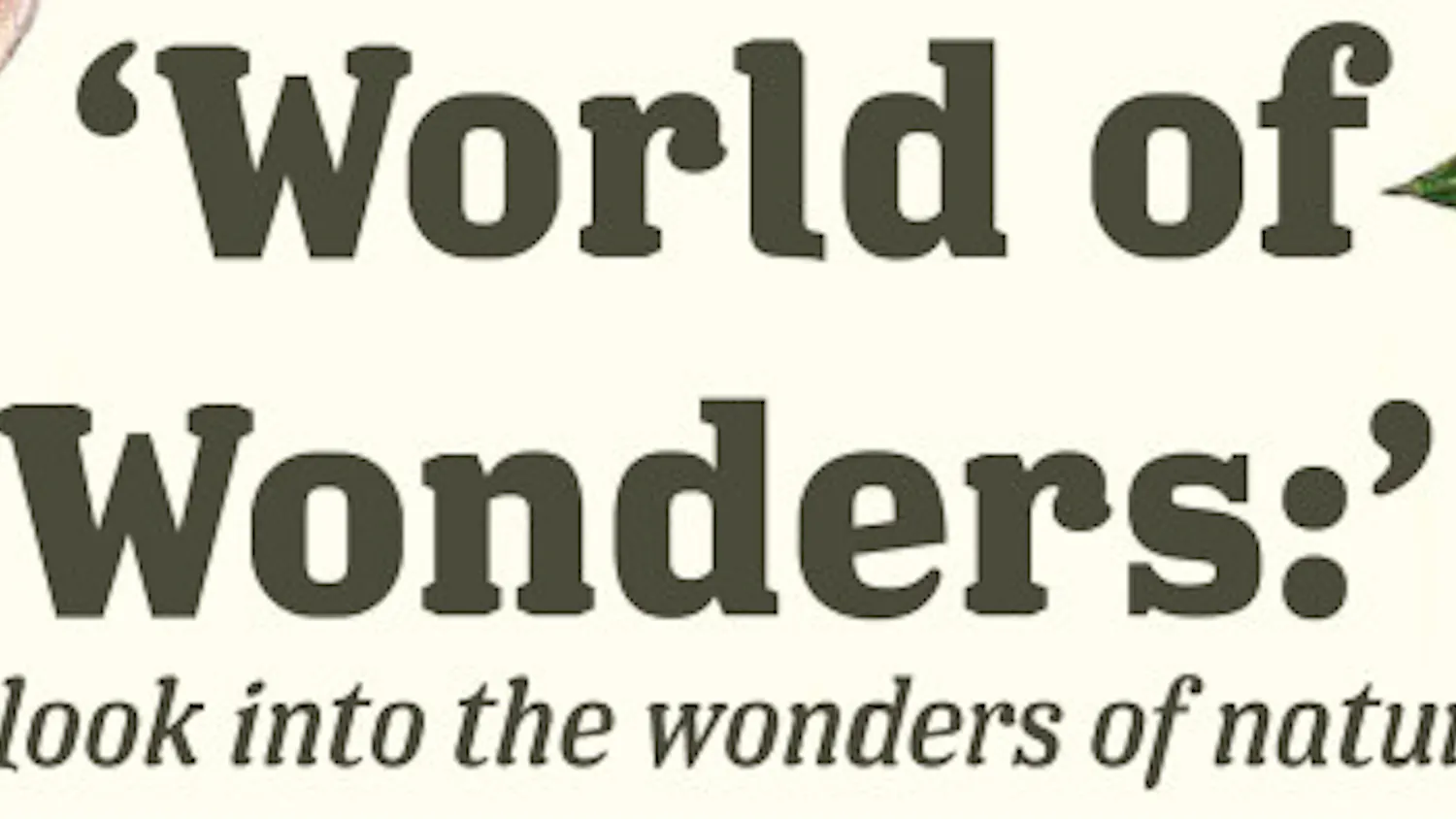 1615411240-4453ba579a96a35