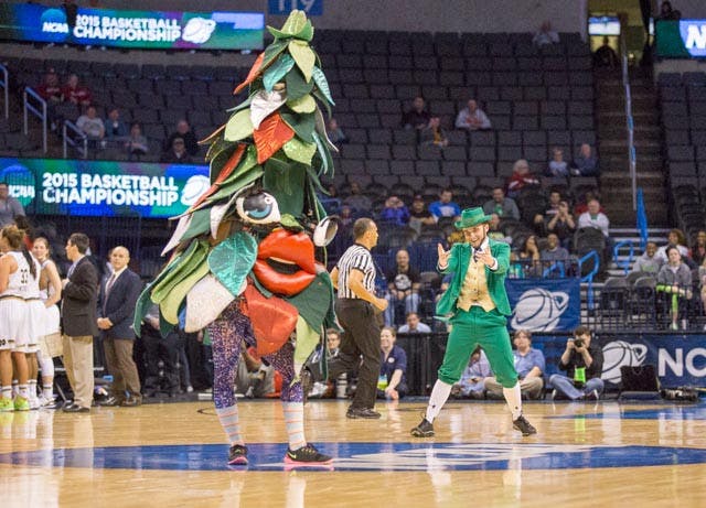 1427503223-2ecab4df95781a2