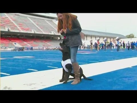 1675364085-cfcd208495d565e