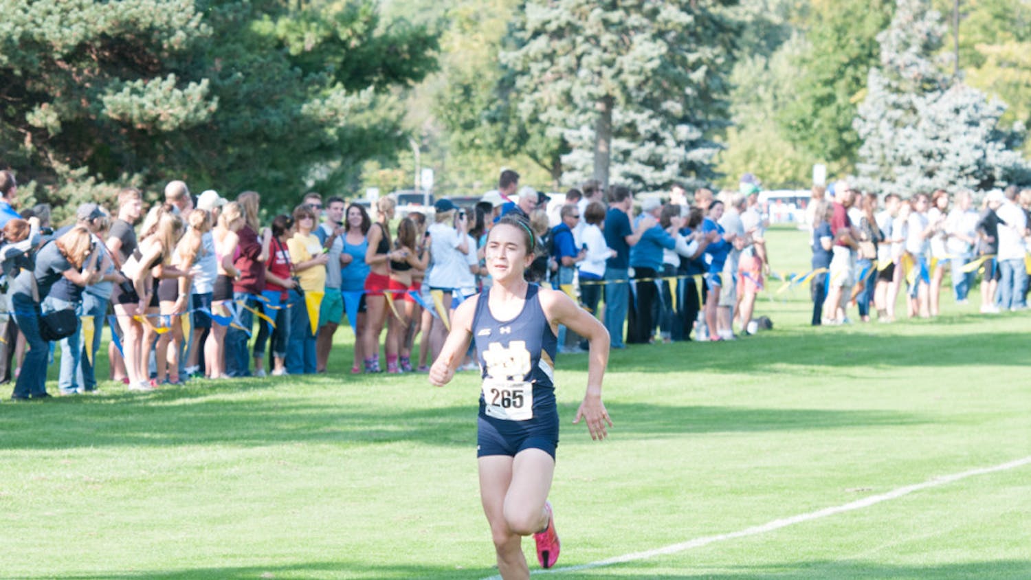 1412555026-8f28b363736fefd