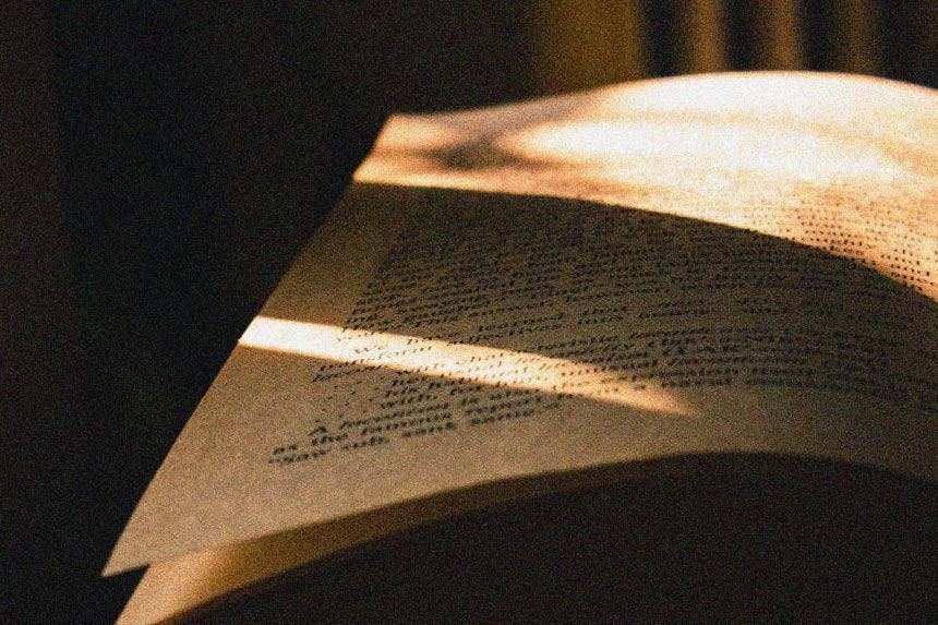 1680121897-921051a5028f6cf