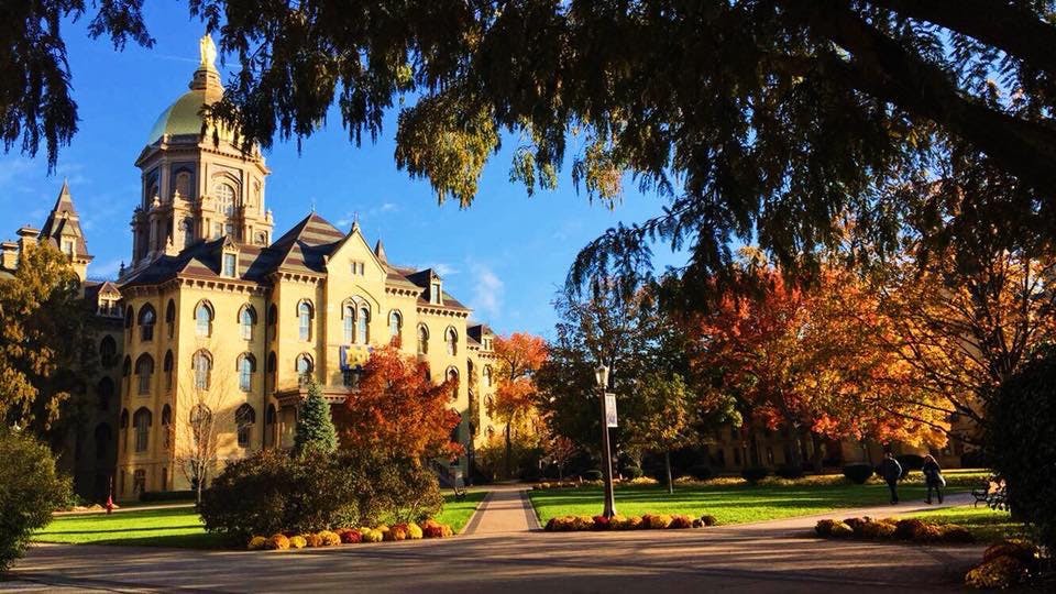 1584207784-f3d29236ccfbfc5