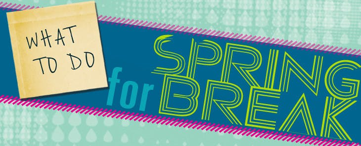 SPRINGBREAKWEB